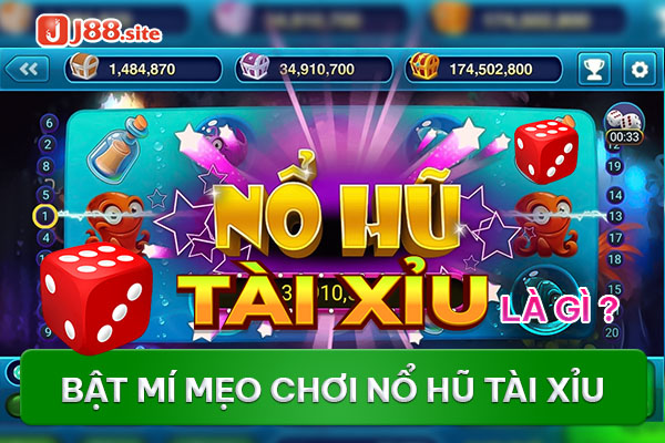 no-hu-tai-xiu